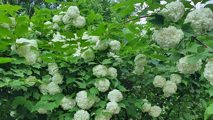 dd2182e2b8ecf1a4d7a848758eb07791_1740129388_4403.jpg